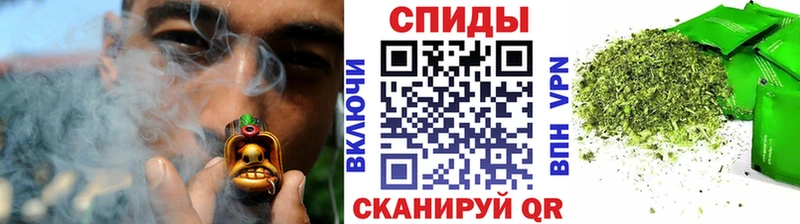 Купить  Нюрба  БУТИРАТ BDO 33% 