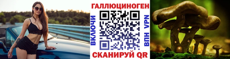 Галлюциногенные грибы Psilocybine cubensis  Купить где  Нюрба 