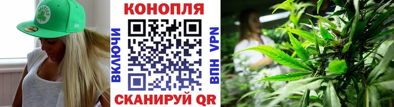 Бошки марихуана White Widow  Купить закладки  Нюрба 